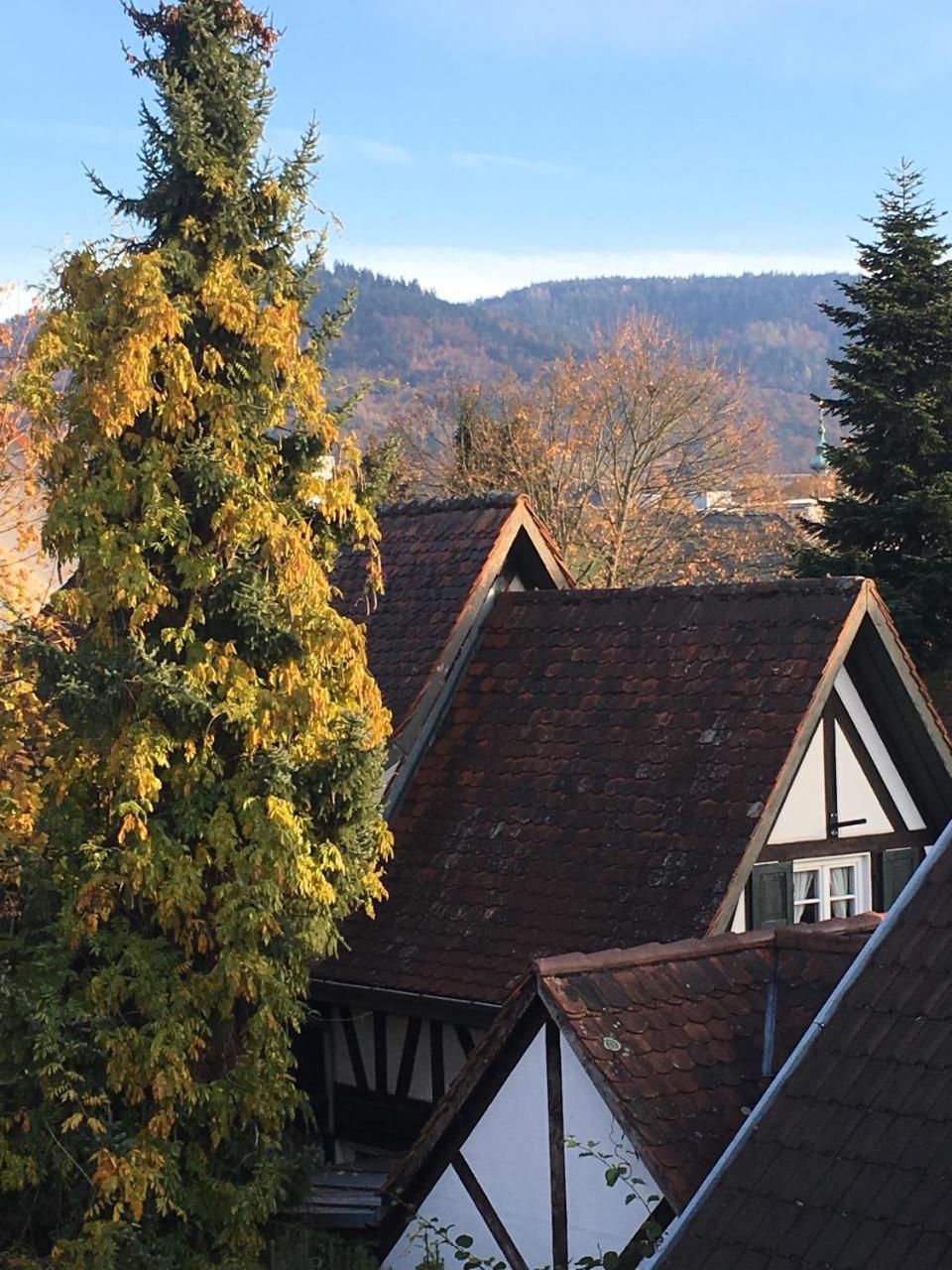 Hotel Grüne Bettlad Boutique-hotel Bühl